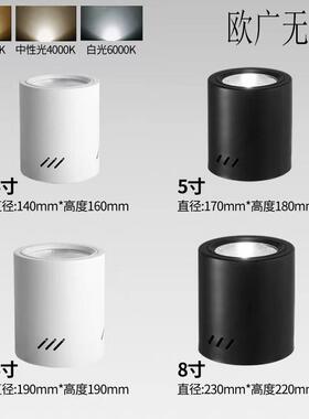 led明装射灯5寸6寸8寸30w40w50w圆形吸顶筒射灯店铺商用明装筒灯
