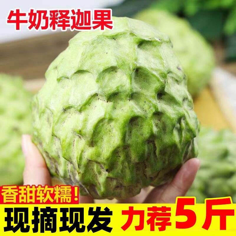 正宗凤梨释迦果5斤牛奶大目番荔枝现摘林檎佛头摩尼果新鲜牟尼果