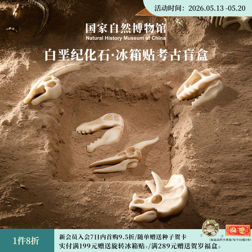 国自博白垩纪化石冰箱贴考古盲盒