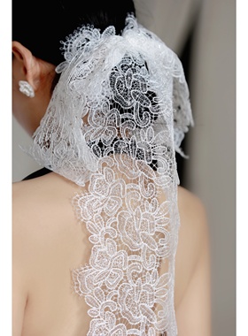 Echo丨超大蕾丝蝴蝶结发夹超仙发卡高级感女气质头饰后脑勺发饰