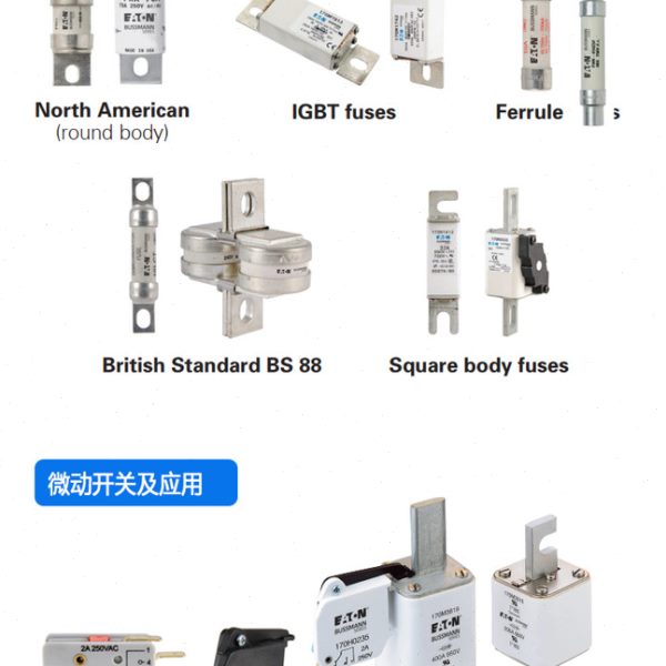 罗兰SC33AR60V18CTF/J1046968 SC33AR55V20CTF/K1046969熔断器