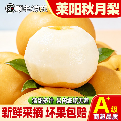正宗山东莱阳秋月梨新鲜水果