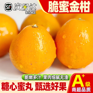 正宗融安脆蜜金柑第三代当季新鲜脆蜜金桔水果脆甜橘子特大果顺丰