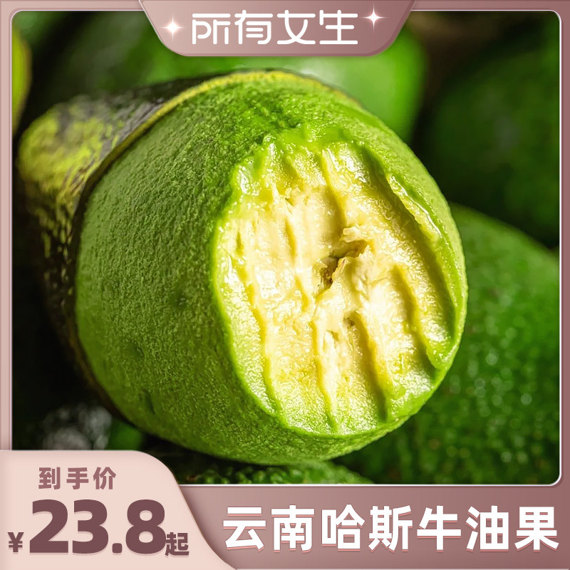 云南哈斯牛油果当季新鲜