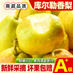 新疆库尔勒香梨薄皮新鲜水果特级果酥香梨脆甜多汁整箱母梨包邮