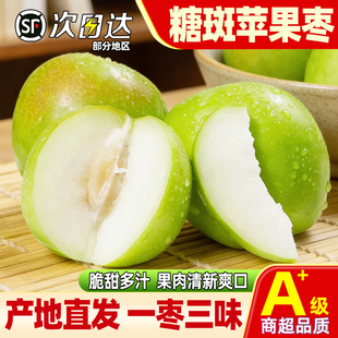 云南西双版纳糖斑苹果枣新鲜水果大青枣应季现摘花斑枣冰糖枣顺丰