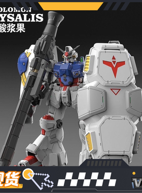 现货Solomon所罗门 拼装模型 高达2号机 酸浆果GP02(不带电池)