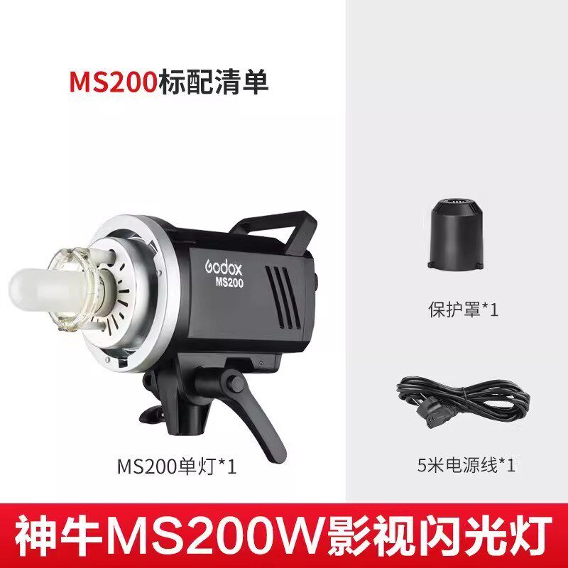 Godox神牛MS200V/MS300V影棚闪光灯小型便携内置无线系统保容卡口