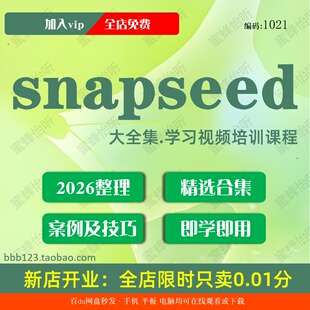 snapseed学习视频大合集技巧课程入门到精通