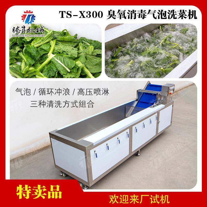 全自动洗果机 多功能蔬菜气泡清洗机 食堂用臭氧杀菌洗菜机,清洗/食品/商业设备,果蔬加工设备,淘宝优惠券,粉丝福利购,淘宝优惠卷