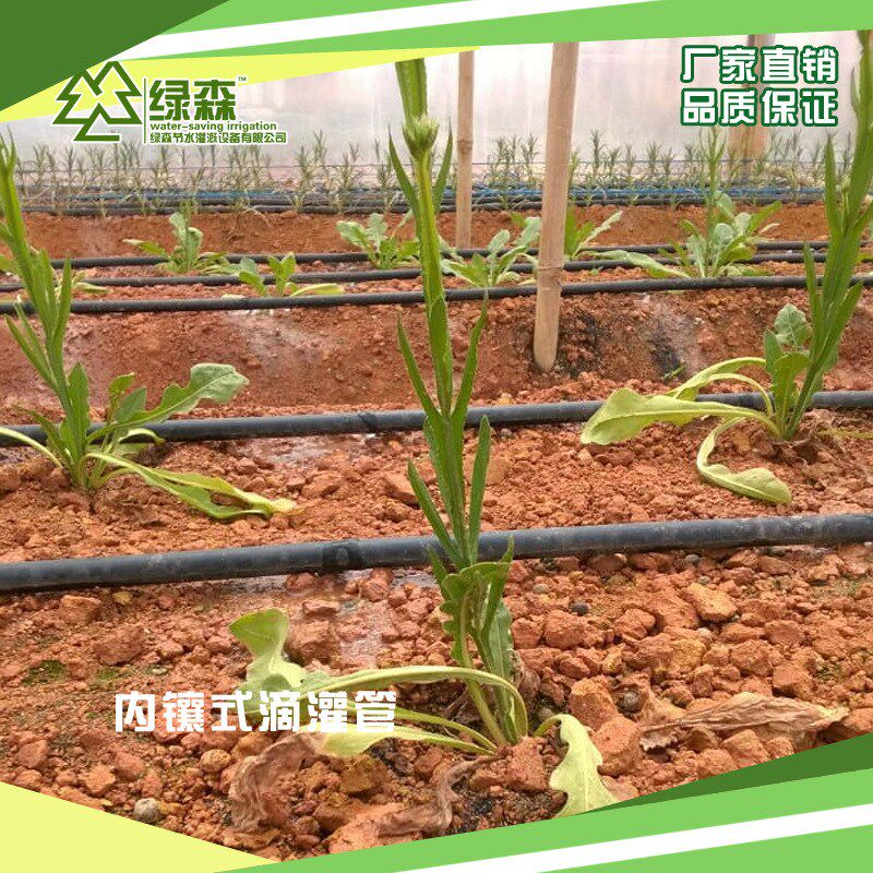 厂家现货16pe农用内镶圆柱式滴灌管 压力补偿灌溉管 圆柱式滴灌管