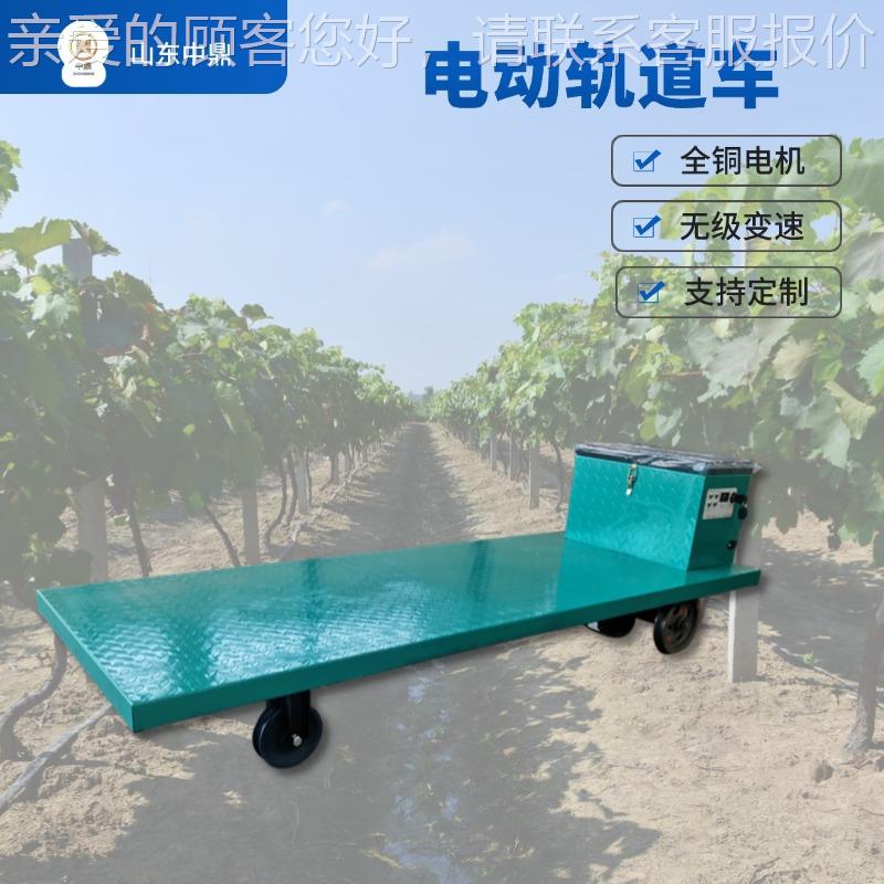 电动遥控火车应平板运输车电NQL瓶有轨车可加感停车输大棚运小轨