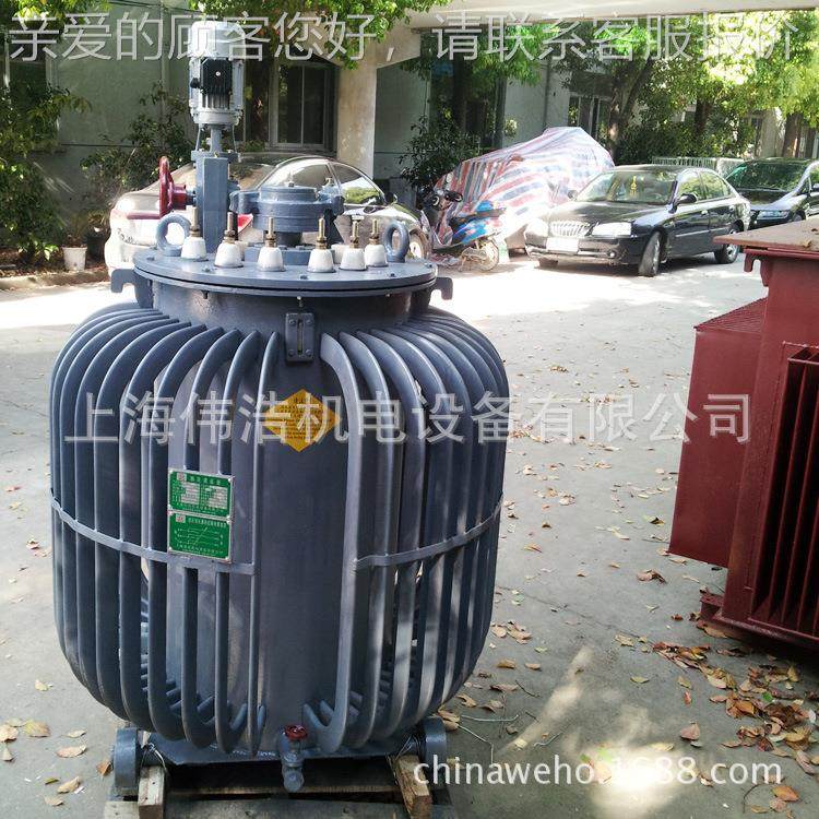 TDGTSJA  TS2接触C式Z调压器器,TSG柱式调压,TSJA油浸调压器