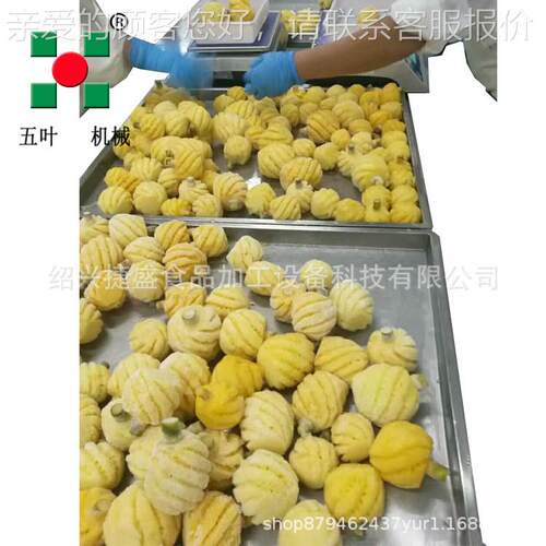 菠洗萝榴莲速冻处理生线 清产剥皮速前冻机机TX 产量定做生产线