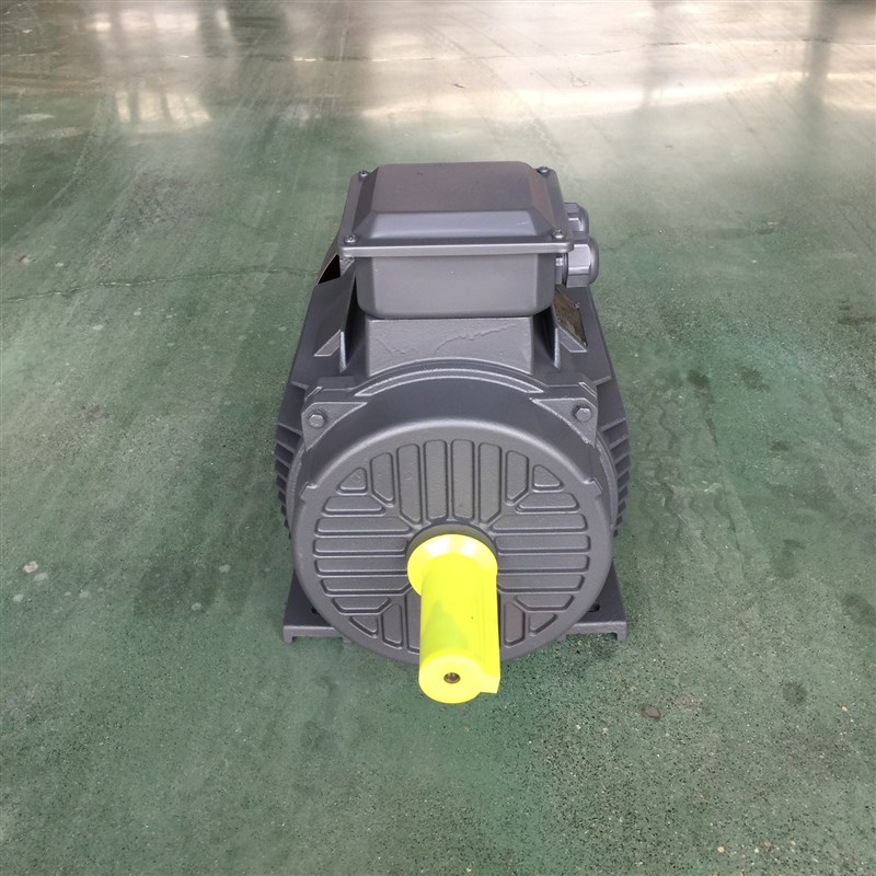 Y2/YE3-160M-4极 三相异步电机 11KW 380V 交流 立式 电动机