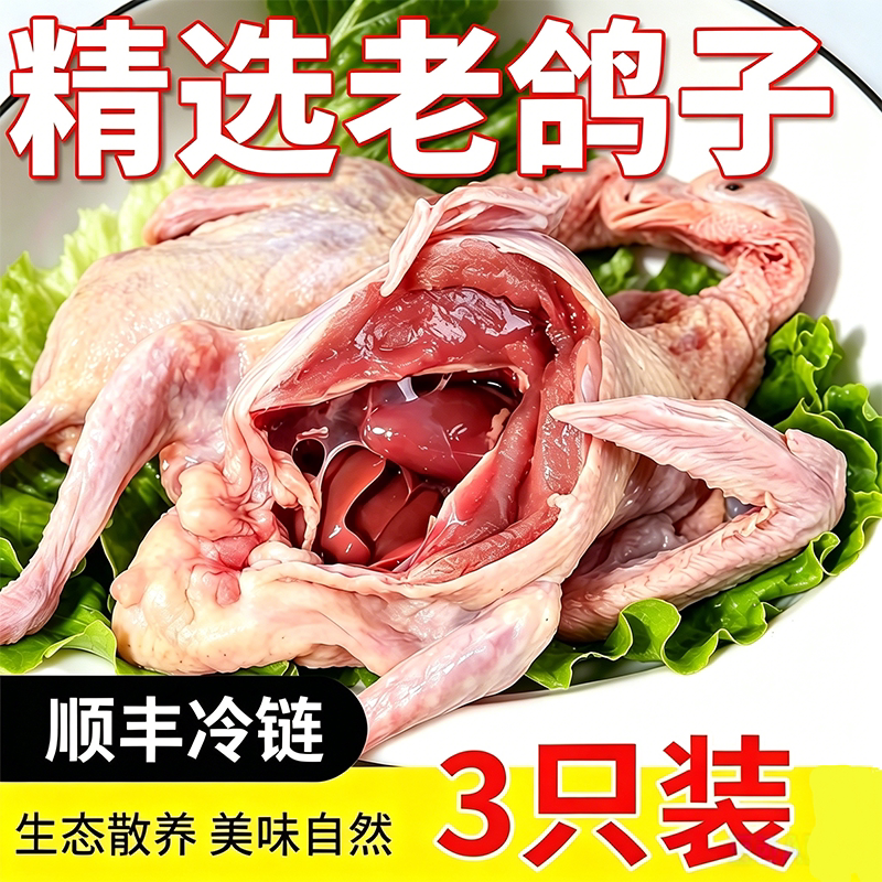 冷链散养老鸽子3只装煲汤