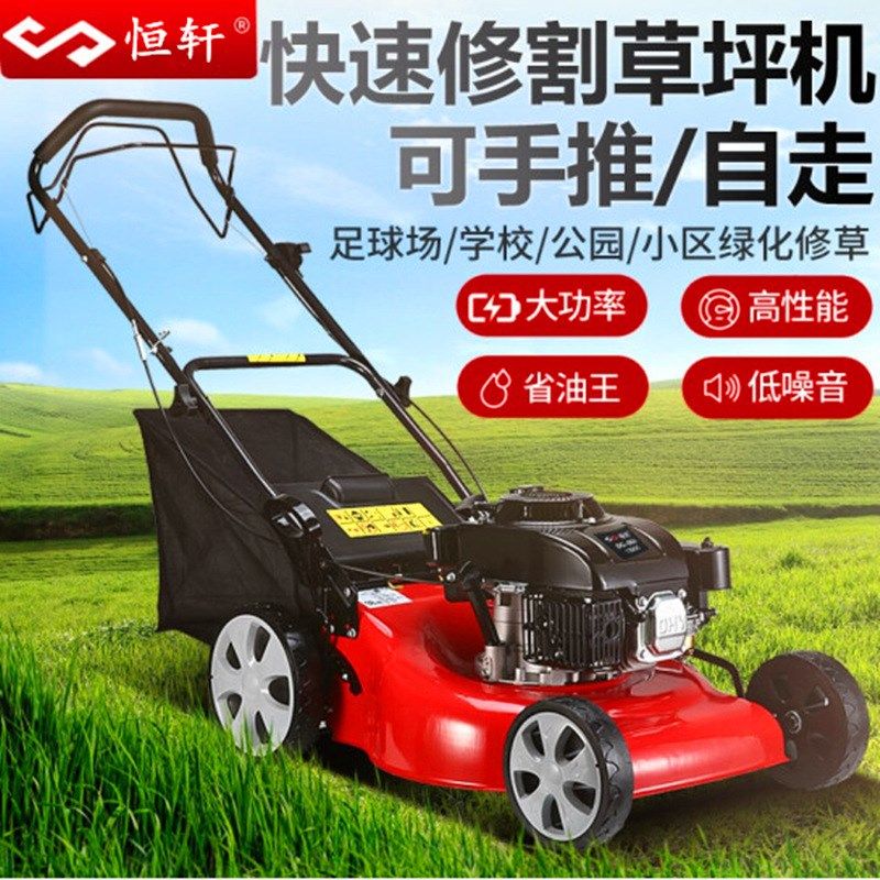 除草干净汽油割草机手推草坪修剪机四冲程20寸自走式园林推草机,鲜花速递/花卉仿真/绿植园艺,割草机/草坪机,淘宝优惠券,粉丝福利购,淘宝优惠卷
