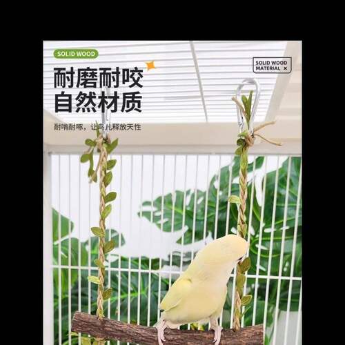 鹦鹉藤蔓秋千玩具牡丹玄