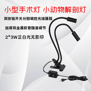 小型手术灯医院用聚光灯妇科检查灯小鼠动物实验室台灯射灯夹式