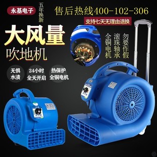 德国进口冷热风吹地机大功率商用小型低噪音家用地板地毯吹乾机除