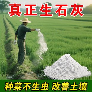 种菜专用石灰粉生石灰杀虫消毒乾燥剂菜地驱蛇粉养殖土壤除湿防潮