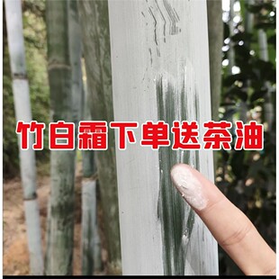 竹白霜粉送茶油深山现采白竹灰新鲜纯天然竹白粉竹节霜送山茶油