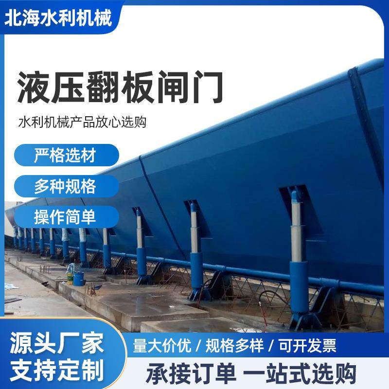 景观液压闸门液压钢坝水利工程底轴翻板钢坝闸门液压翻板闸门,搬运/仓储/物流设备,其他起重搬运设备,淘宝优惠券,粉丝福利购,淘宝优惠卷
