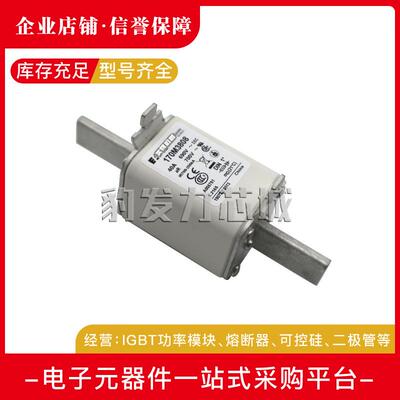 170M3493 170M3494 170M3495 170M3496 170M3497全新熔断器现货