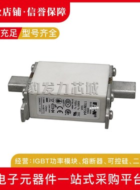 170M1565D/1566D/1567D/1568D/1569D/1570D/1571D/1572D熔断器