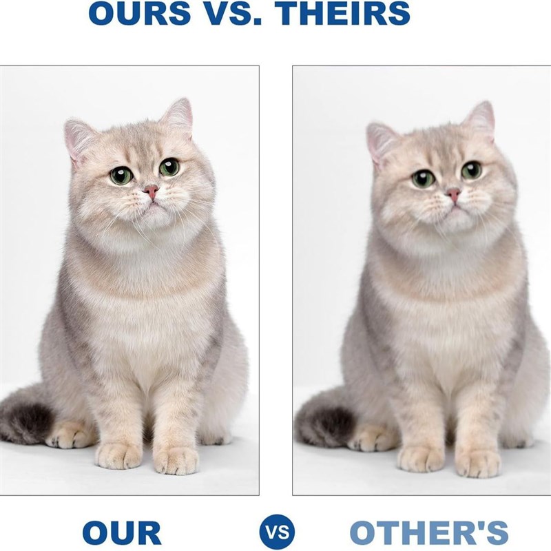 八达兼容墨盒Epson 232XL T232XL适用XP-4200 4205 WF-2930 2950