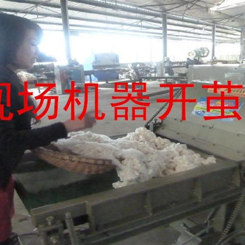 柞蚕茧原料 柞蚕丝精干茧 现场开茧机用蚕丝被原料  大个干净