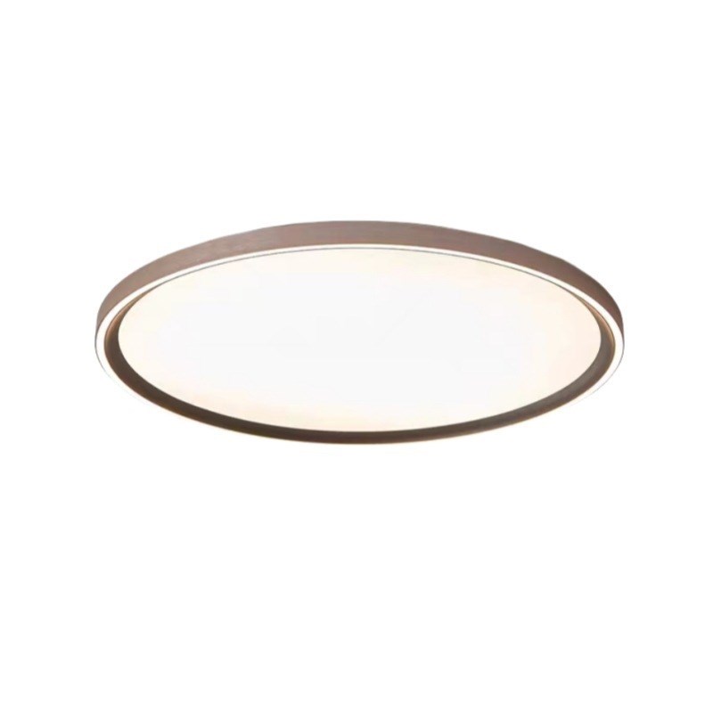 卧室吸顶灯简约现代设计师极简轻奢智能创意圆形主卧书房护眼灯具