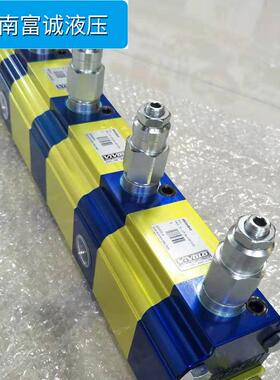 源头9RV10A51 9RV10B51 9RV10C51意大利VIVOIL同步分流马达