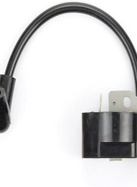 点火线圈高压包  适用于850080001 PS02762 4306401 308064001