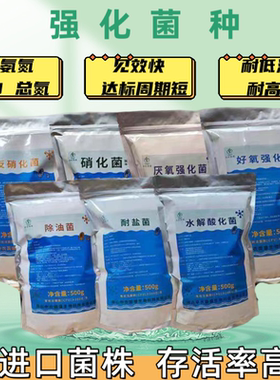生化活性污泥快速降解 COD高效氨氮硝化复合污水处理专用强化菌种