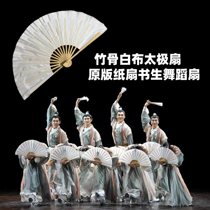 白色功夫扇太极扇纸扇书