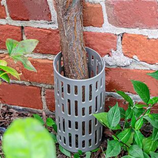 园林树木保护塑料树苗植物保护罩树皮防护套可调节可拼接组合