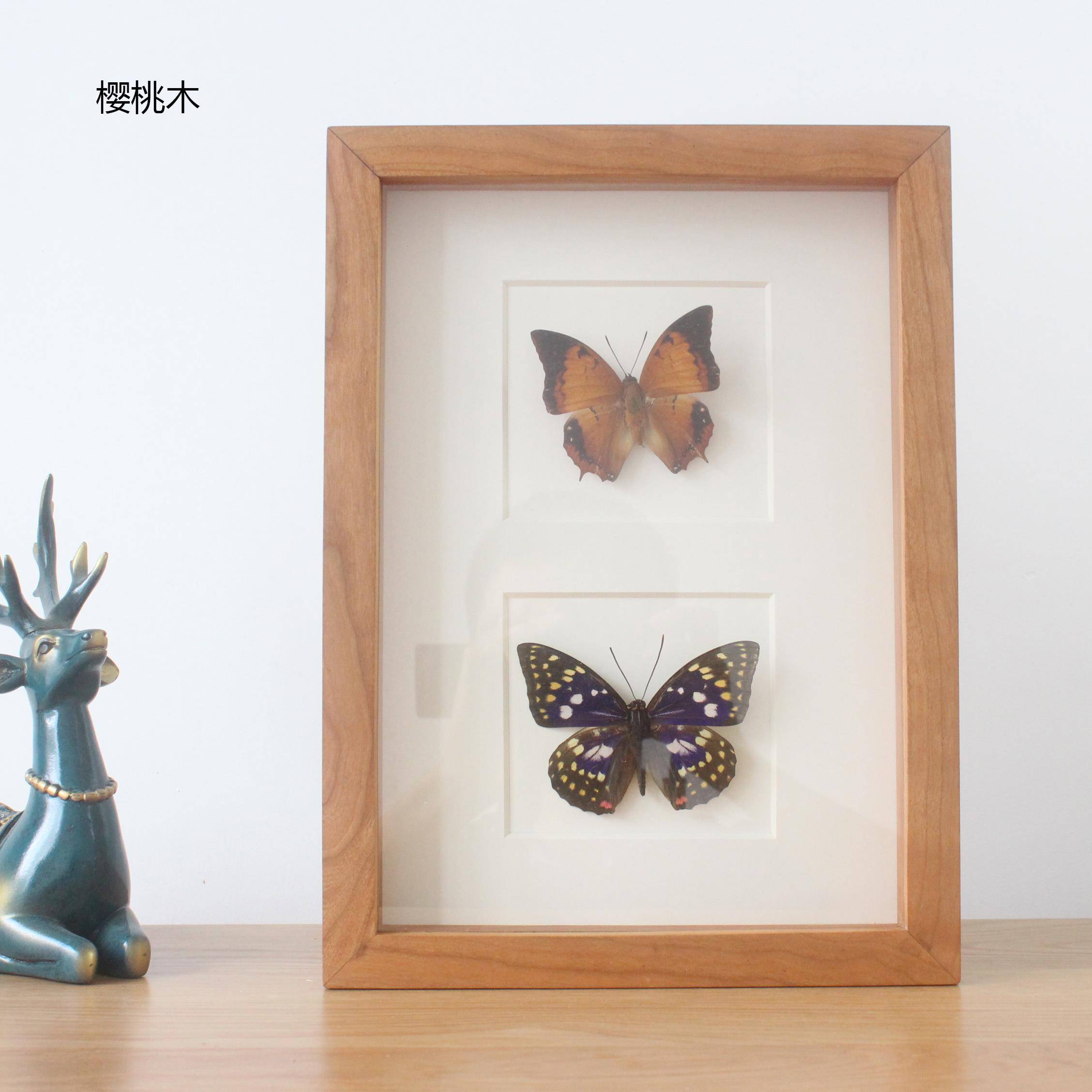 黑胡桃木樱桃木白蜡木 实木 中空立体 贝壳蝴蝶昆虫植物标本相框