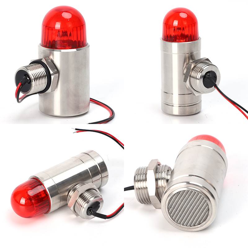 工业防爆型不锈钢声光报警器12v一体气体探测警示灯24v闪光灯led