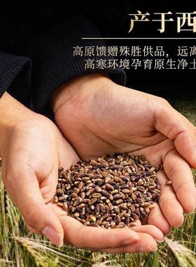 高原青稞家用贡品供护法烟供火供黑青稞装藏曼扎摆件八供养一斤装