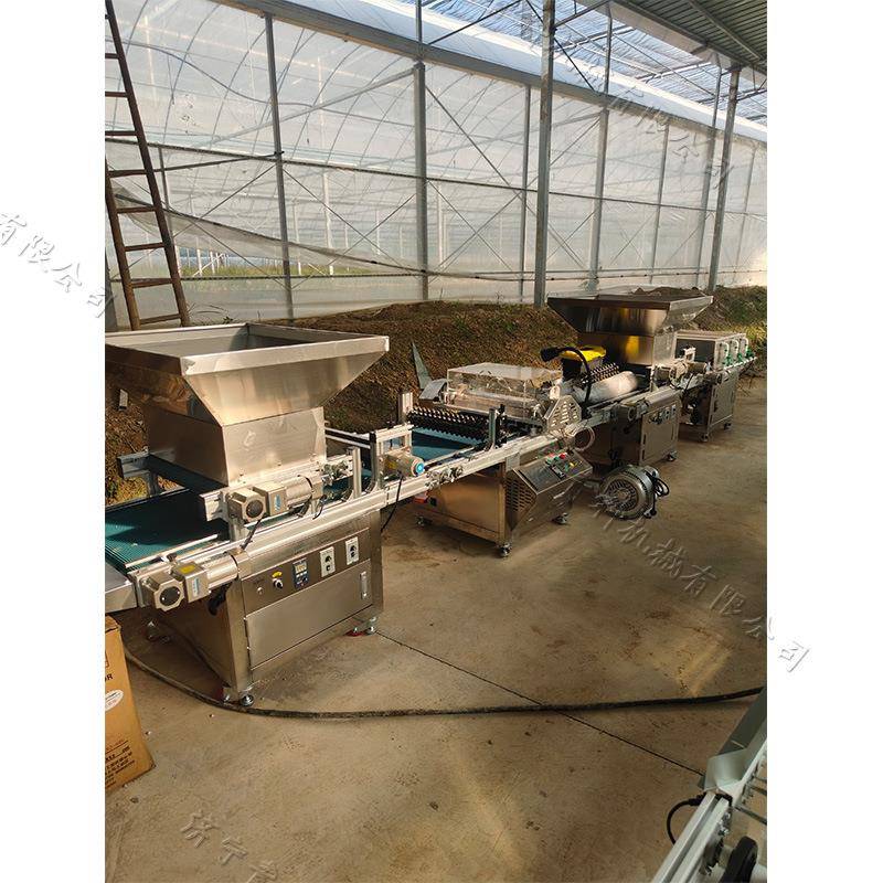 滚筒式穴盘育苗播种机蔬菜种子育苗点种机全自动育苗播种流水线