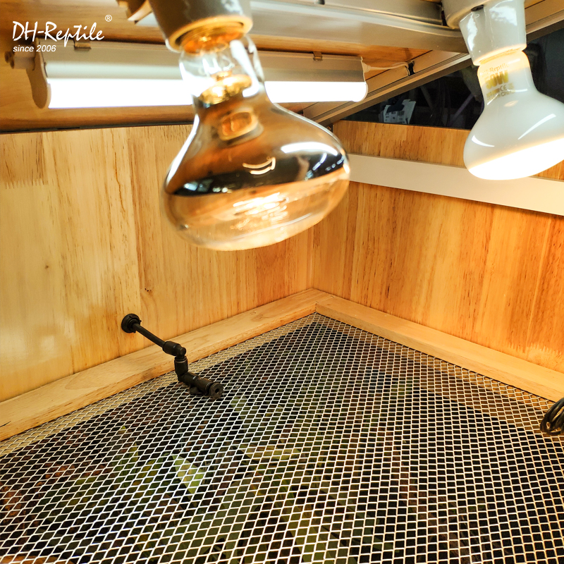 定制爬虫宠饲养高箱高冠变色龙蜥蜴恒温爬箱实木玻璃可排水树栖箱