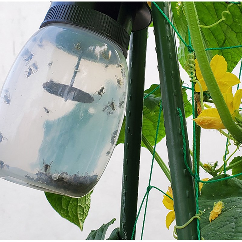 果蝇诱捕器果园菜园家用农业物理除虫针蜂室内诱捕剂害虫捕抓器