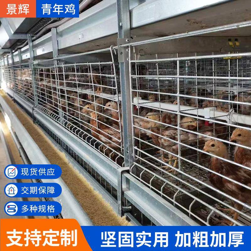 厂家供应青年鸡现货蛋肉鸡笼小鸡龙鹌鹑笼可做全自