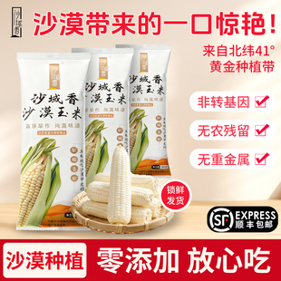 沙域香甜糯玉米代餐玉米棒沙漠玉米内蒙古特产冷鲜玉米1560g
