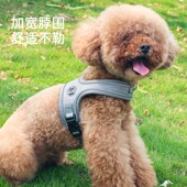 狗狗牵引绳中小型犬泰迪柯基防爆冲狗绳背心式 项圈一体透气胸背带