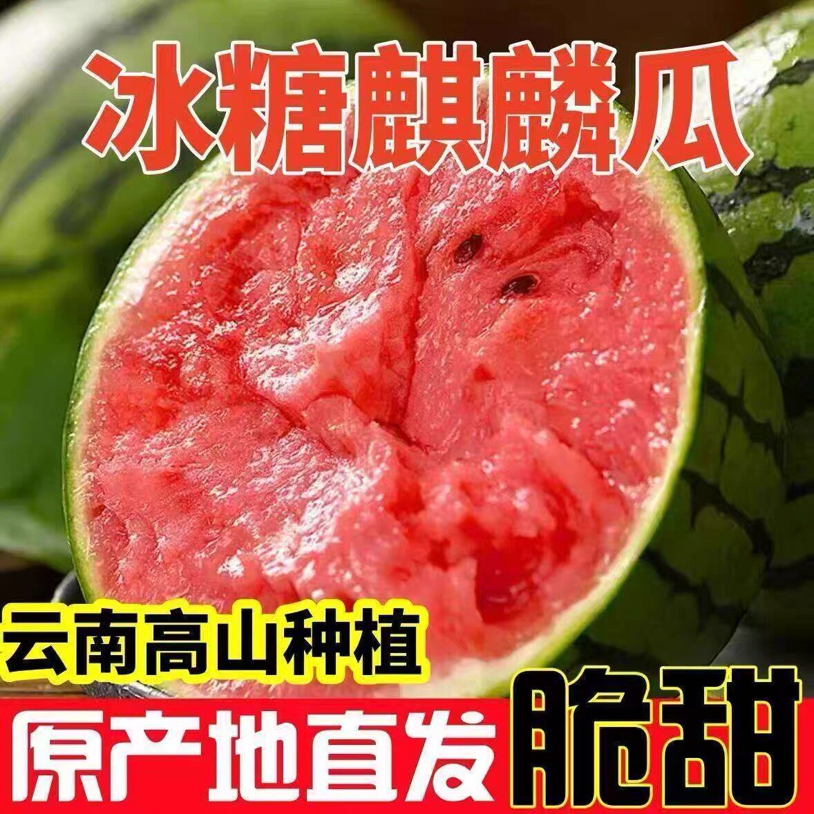 【麒麟瓜推荐】头茬丨脆甜多汁