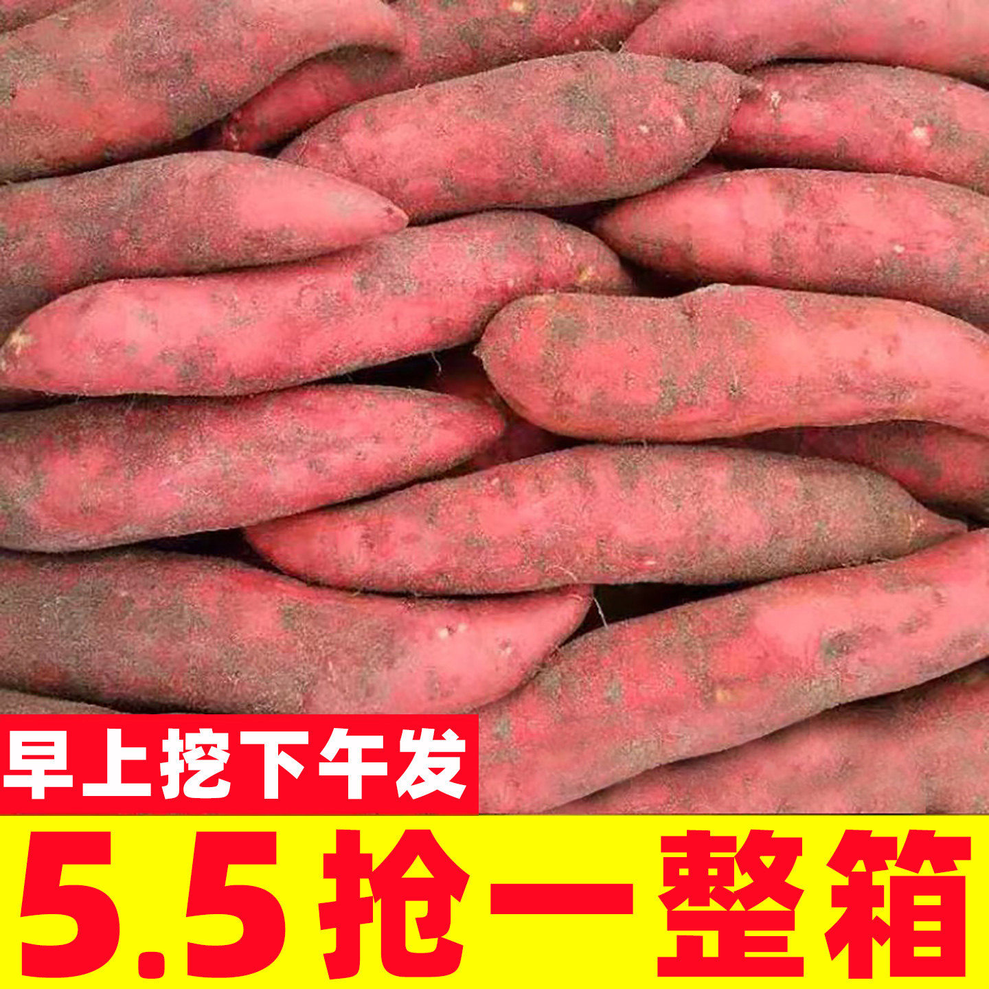 西瓜红蜜薯新鲜农家自种红薯
