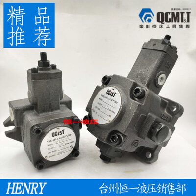 QCIST秦川机床数控油泵VVP15B/20 VVP20B/35 VVP30B/55 VVP40B/70