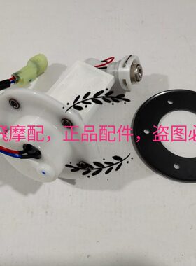 BJ500GS-A金鹏TRK502X燃油泵组件汽油泵供油泵